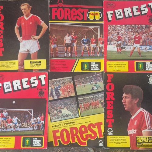 Nottingham forest - nottingham,