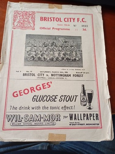Bristol city nottingham - city, v