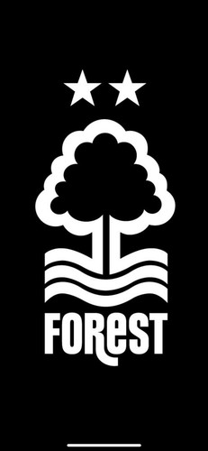 Nottingham forest pre season - nottingham, pre-season