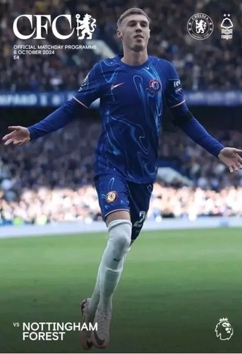 New chelsea v nottingham - chelsea,
