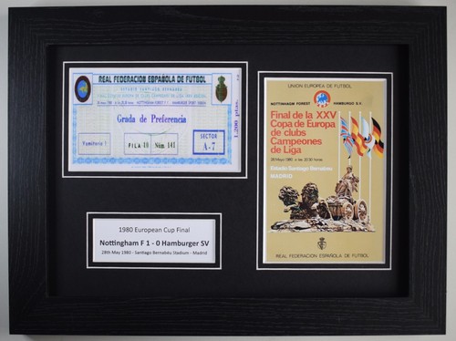 1980 european cup - 1980,