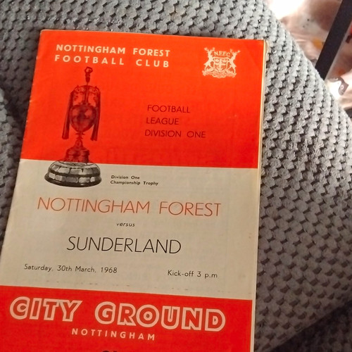 Nottingham forest sunderland - v,
