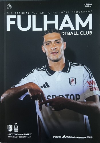 Fulham nottingham - fulham, v